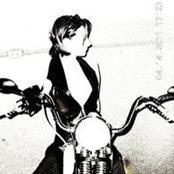 Donna Antonelli's photo
