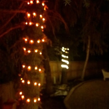Mountain Rustic Patio Lighting - Tree Wrap Lighting