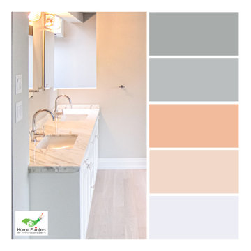 Variety of Color Palettes