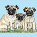Betsy Drake - Pugs Door Mat 18x26 - These decorative floor mats are made with a synthetic, low pile washable material that will stand up to years of wear. They have a non-slip rubber backing and feature art made by artists Dick Hamilton and Betsy Drake of Betsy Drake Interiors. All of our items are made in the USA. Our small door mats measure 18x26 and our larger mats measure 30x50. Enjoy a colorful design that will last for years to come.