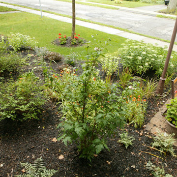 Formal Gardens in Front and Pondless Stream in Backyard