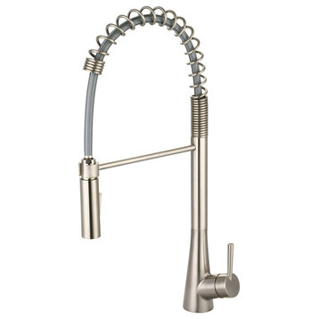 i2 Single Handle Pull-Down Kitchen Faucet, Brushed Nickel