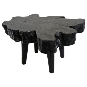 Blackened Lychee Stump Table