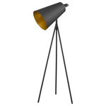 Acclaim Lighting - Trend Lighting Faza 1-Light Floor Lamp With Matte Black Finish TF70036BK - Add a dash of industrial-chic style to your space with Faza. The large, black cone-shaped shade of iron commands attention. Its gold leaf interior contrasts beautifully with the matte exterior.