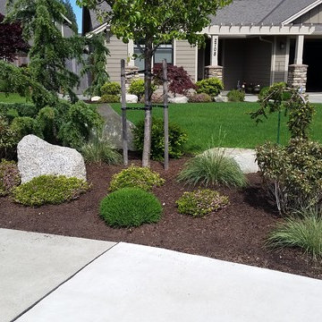 Great maintenance packages | ProScapes