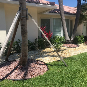 Bromeliads with Egg rocks