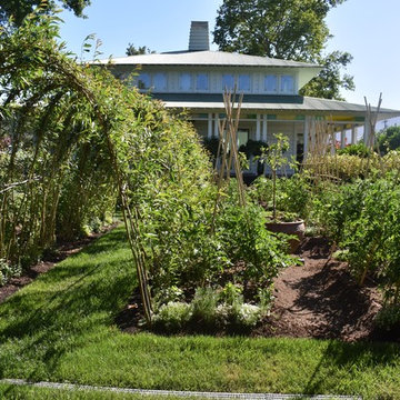 Vegetable Garden & Trellis