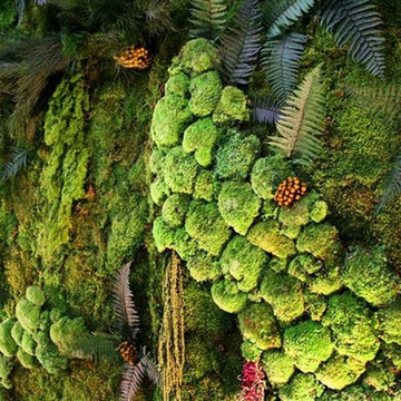 Maintenance-Free Wall Gardens