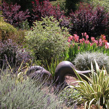 Mediterranean Gardens