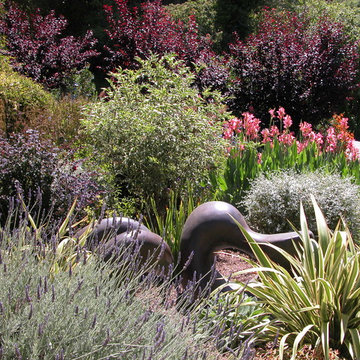 Mill Valley Mediterranean garden