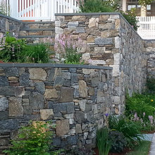 Back Yard/wall