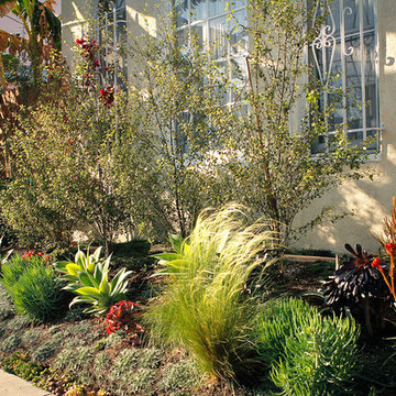 Spanish, Drought Tolerant Garden