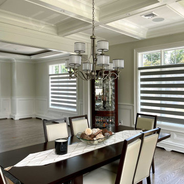 Springblinds Premium Zebra Dual Sheer Shades