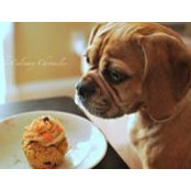 Jo M's photo