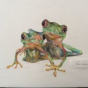 Tom Savageau's photo