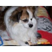 Rosalind Coffman's photo