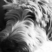 Geralyn Minshew's photo
