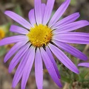 Robynne Schoenbauer's photo