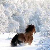 Kristina Tarpova's photo