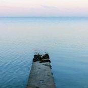 Alexandra Curley's photo