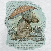Tamie Cook's photo