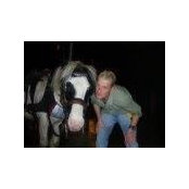 Brian Curtin's photo
