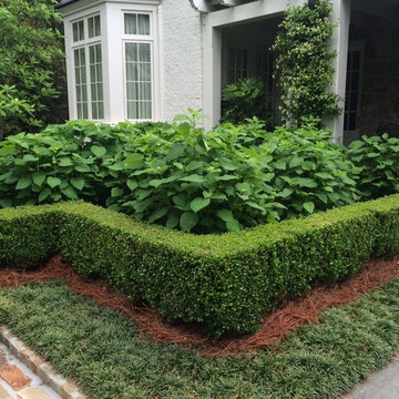 Country Manor