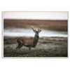 Wild Deer Animal Landscape Photo, 12"x18"