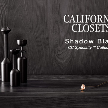 Our Wood Colour Palette