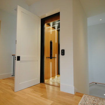 Asterix- Modern Residential Elevator