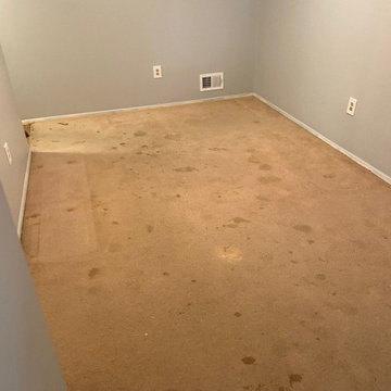 Installation: Luxury Vinyl Plank & Laminate
