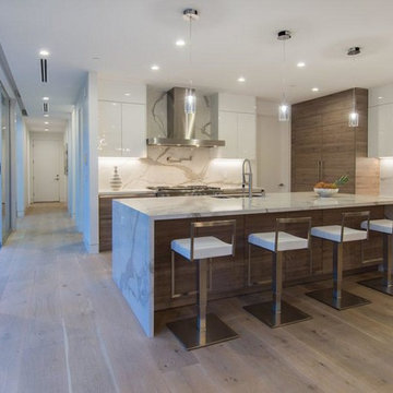 Modern House in Venice Beach, California