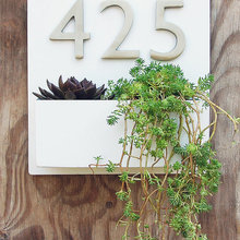 Exterior Ideas