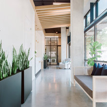 Living Logo Wall