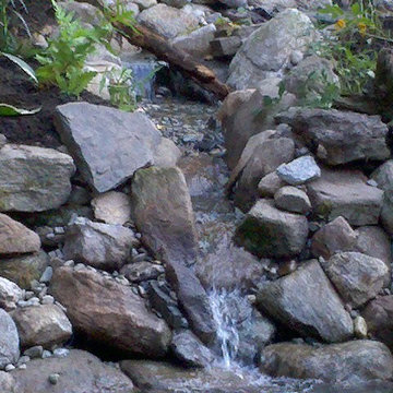 Back Yard Pond - Avon