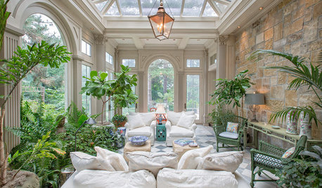 How to Take Care of Your Indoor Plants