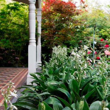 Kew Garden
