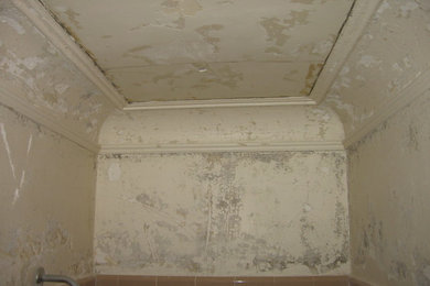 Moldy plaster/bathroom/replaster and paint