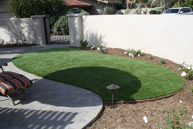 Inspiration for a modern backyard landscaping in San Diego.