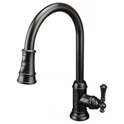 Traditional Kitchen Faucets by Artisan