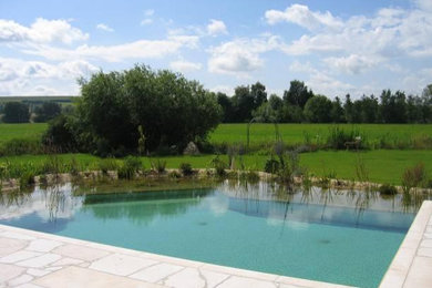 Mittelgroßer Mediterraner Schwimmteich neben dem Haus in individueller Form mit Natursteinplatten in Stuttgart