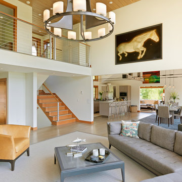 Mountain Modern