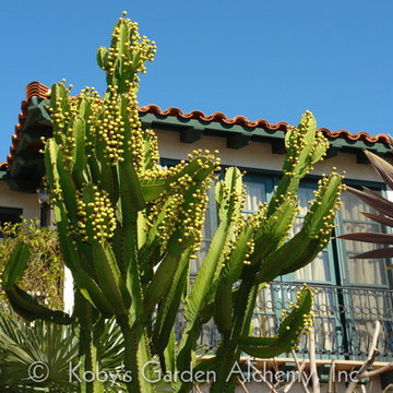 Mediterranean Paradise Garden, Coronado, California