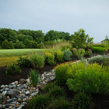 Conservation Meadowscape