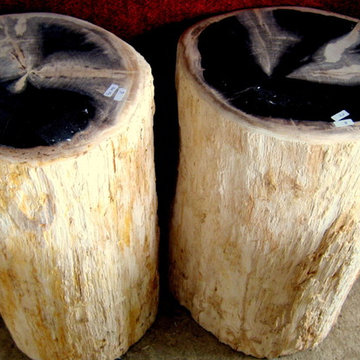 Petrified Wood Table