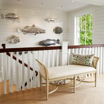 Whales Watch