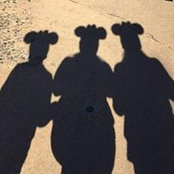 Marty Reynolds's photo