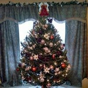 Donna Morin's photo