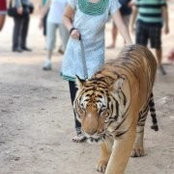 Nancy Xu's photo