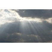 Stephen Wasson's photo